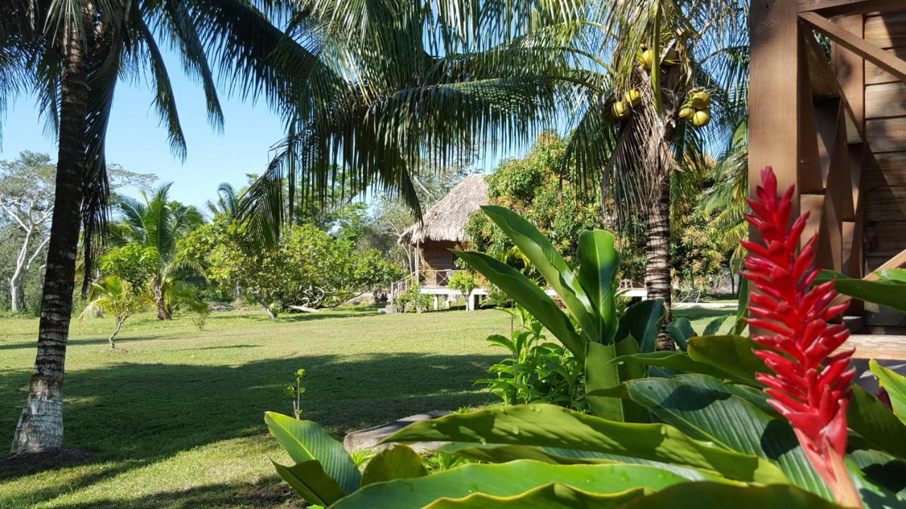 Nature Resort Bermudian Landing Bagian luar foto